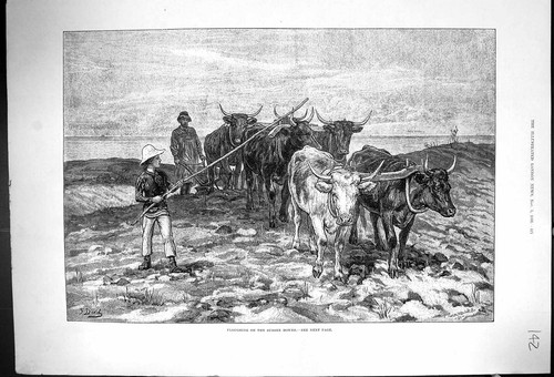 Old antique print 1881 - antique,
