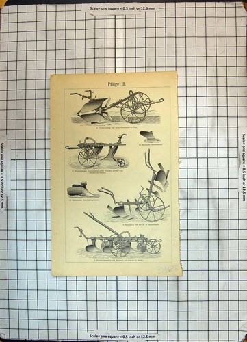 Antique print agriculture - print,