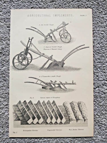 Examples agricultural - examples,