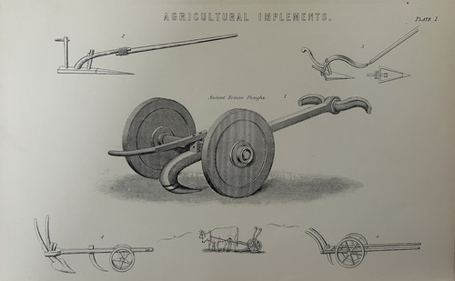 Antique print agricultural - print,