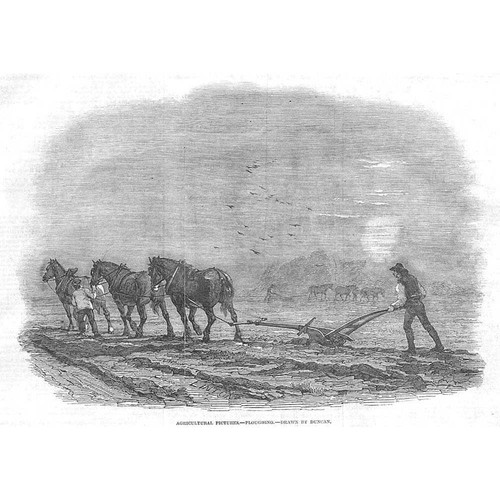 Victorian agricultural scene - agricultural,