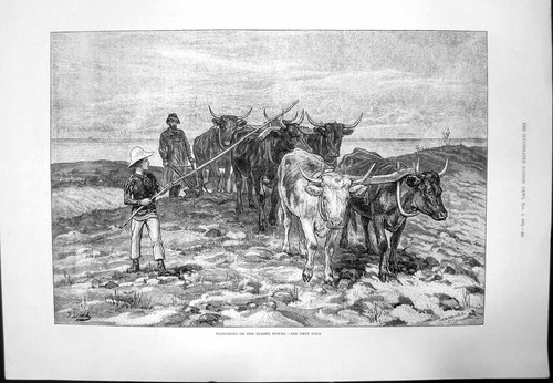Original old antique - antique, print