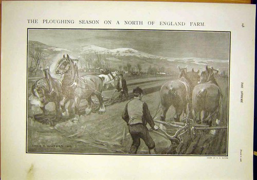 Original old antique print - old,