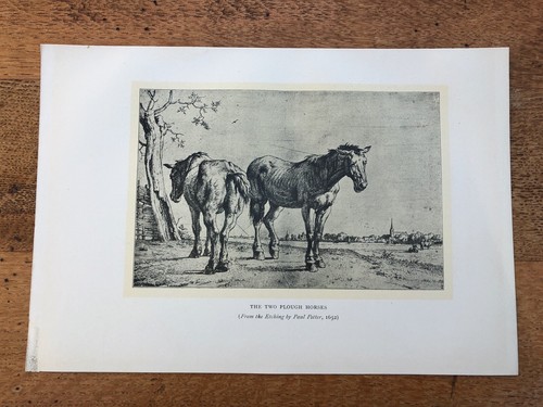 1901 print from - , the